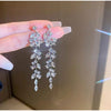 Dangling Zircon Earrings